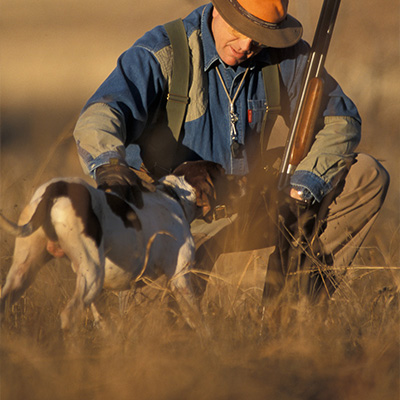 Picking a Quail Lease